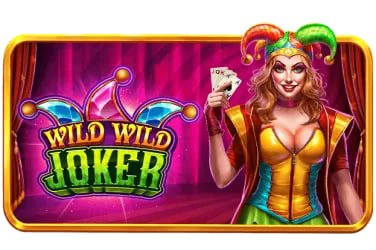 556bet