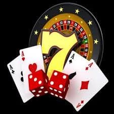 556bet