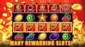 556bet