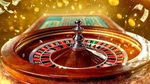556bet