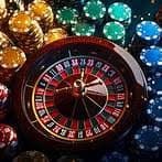 556bet